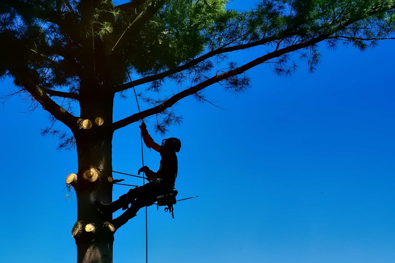 Electrical services Columbia SC